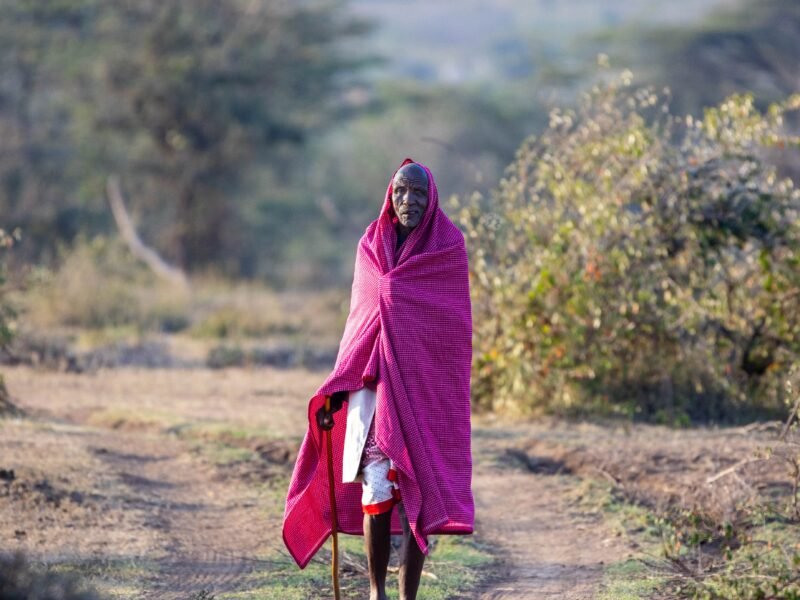 Wildlife of Kenya
