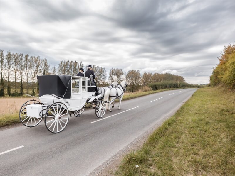 La Moderna - 8hrs wedding photography cover